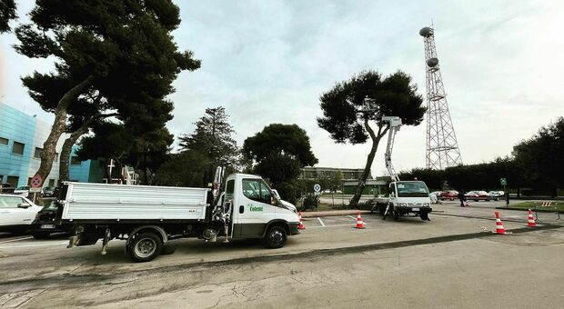Interdittiva per la ?Colemi?, la stessa ditta che ha recuperato il market solidale inaugurato dal ministro Piantedosi