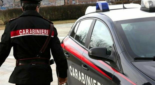 Armi da guerra ritrovate dentro una valigetta in mezzo al bosco, indagano i carabinieri