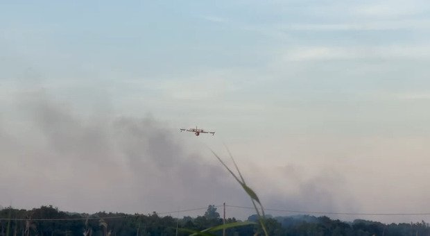 Salento, scoppia l'incendio a due passi dal mare
