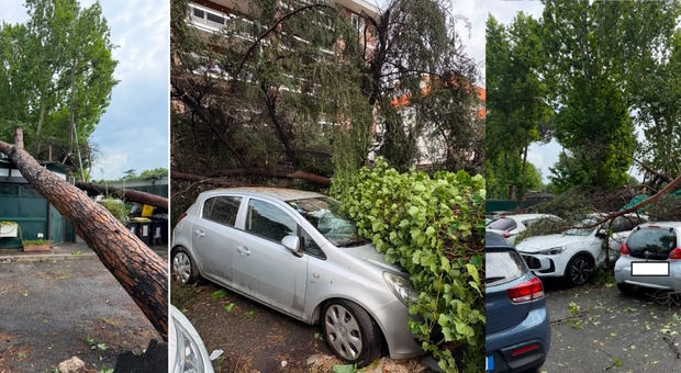 immagine Bomba d'acqua su Roma, tromba d'aria a Conca d'Oro: chiuso tratto tangenziale. alberi caduti