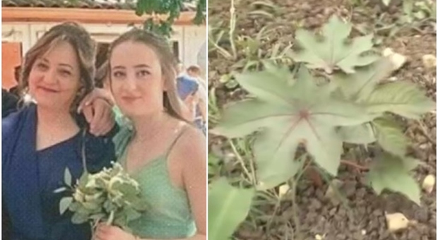 Ritrovamento di piante di ricino vicino casa delle vittime