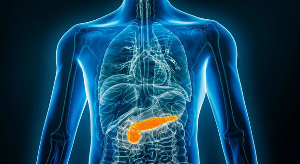 Tumore al pancreas, il farmaco sperimentale che prolunga la vita dei pazienti in fase avanzata: ecco come fa