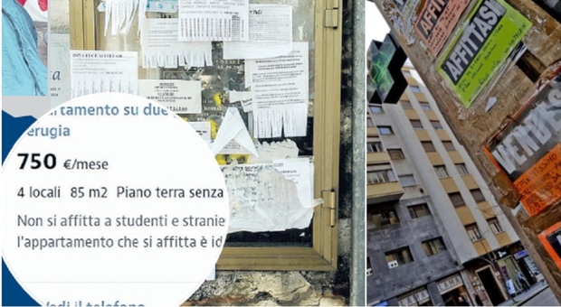 Gli affitti delle case cresciuti fino a 5 volte più degli stipendi: a Milano e Firenze gli aumenti record, la classifica di tutte le città Gli affitti delle case cresciuti fino a 5 volte più degli stipendi: a Milano e Firenze gli aumenti record, la classifica di tutte le città