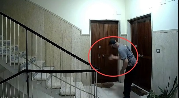 https://statics.cedscdn.it/photos/MED/2026/06/09/9582725_09172440_furti.jpg