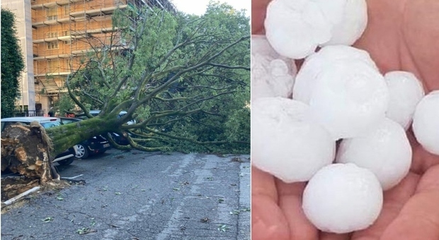 Maltempo, bomba d'acqua improvvisa su Milano e provincia: alberi crollati, cartelloni divelti e danni