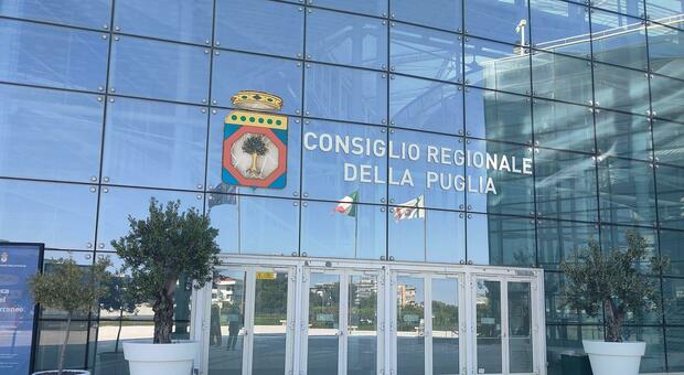 Niente dimissioni, l?assessora Starace tira dritto. I legali: «Corrette le procedure adottate»