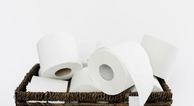 Carta igienica addio nel 2026? Spunta un'alternativa green (che già spopola ovunque): di cosa si tratta e come funziona Carta igienica addio nel 2026? Spunta un'alternativa green (che già spopola ovunque): di cosa si tratta e come funziona