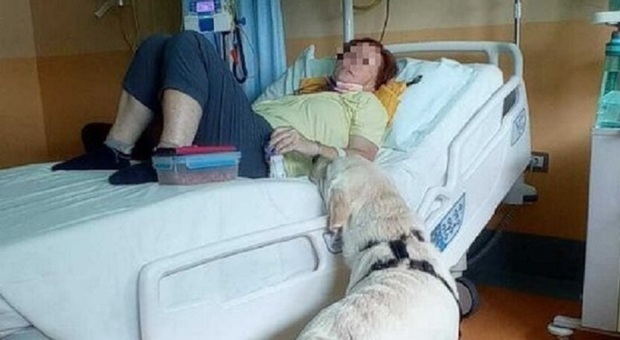 https://statics.cedscdn.it/photos/MED/2026/06/11/9586389_11140750_joy_cane.jpg