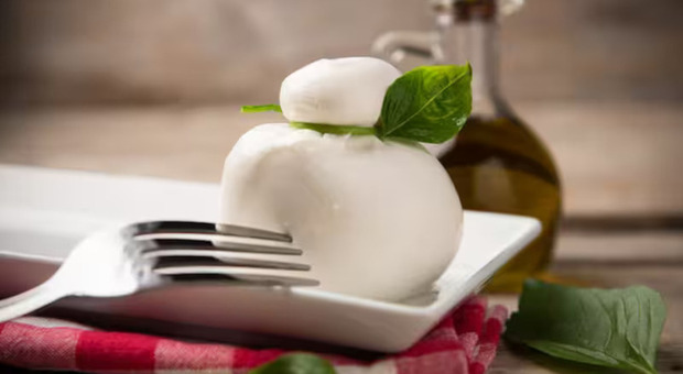 immagine Migliore mozzarella del supermercato, la classifica del Gambero Rosso: chi è il vincitore