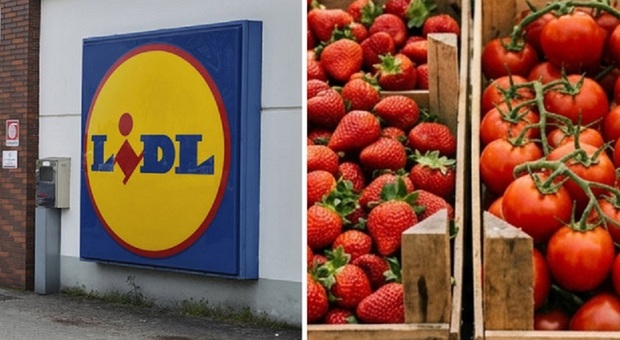 Multa a Lidl per etichette errate sulla provenienza
