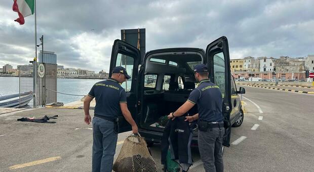 Pesca vietata di ricci, sequestrati 30 kg a Gallipoli