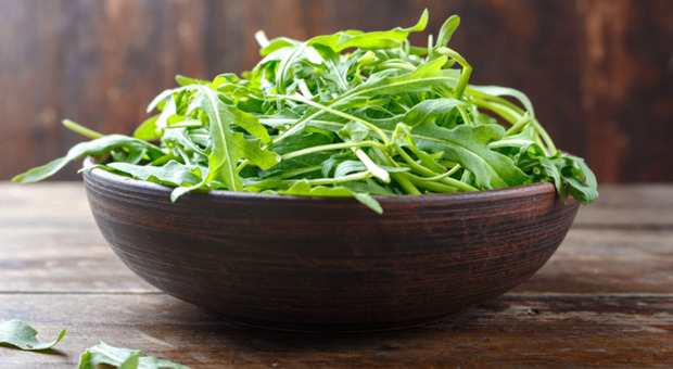 immagine Rucola, l'alleato ideale per perdere peso: scoperta la sostanza che combatte l'obesità e abbassa la glicemia