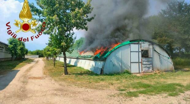 https://statics.cedscdn.it/photos/MED/2026/06/20/9604719_20203814_incendio_allevamento_conigli.jpg