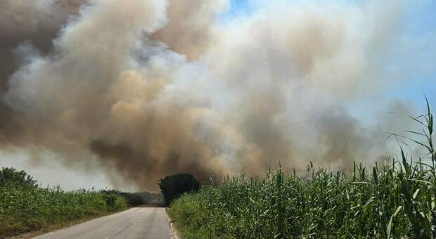 Maxi incendio alla Palude del Conte: fuoco e fumo tra Torre Colimena e Punta Prosciutto