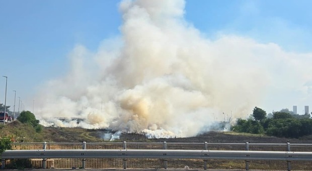 Bari, incendio al Canalone: fiamme tra le sterpaglie, strada chiusa per il fumo