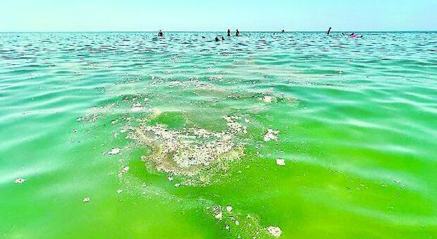 immagine Domenica rovente, ma al mare di Latina brutta sorpresa: allertata l'Arpa