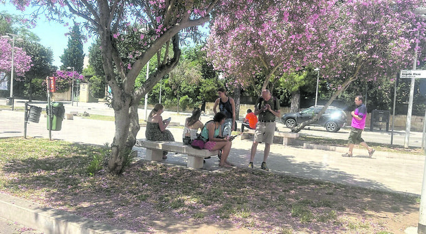 Lecce senza ombra e le sue isole di calore (ma pedonalizzate)