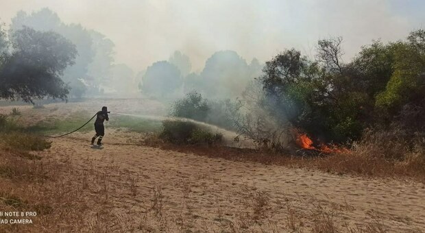 Manfredonia, incendio in un camping: oltre 100 persone evacuate