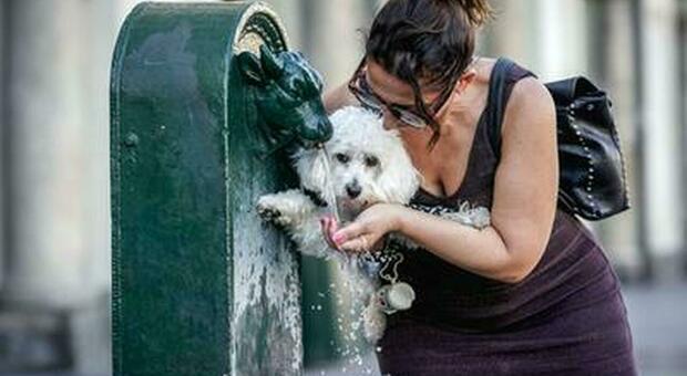 immagine Caldo, l’Italia entra nella terza ondata: temperature in aumento e primi bollini rossi