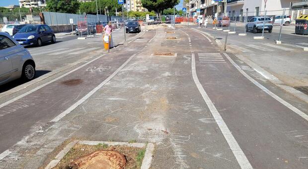 Bari, lavori Brt e caso Sant'Anna: ambientalisti pronti alla causa contro il Comune