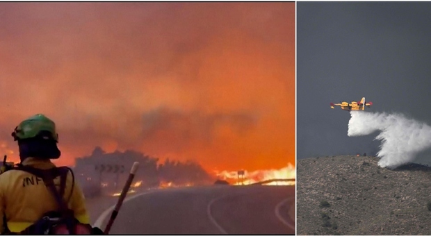 Wildfire in Spanish Forest Kills 11, Leaves 19 Missing in Almería Province