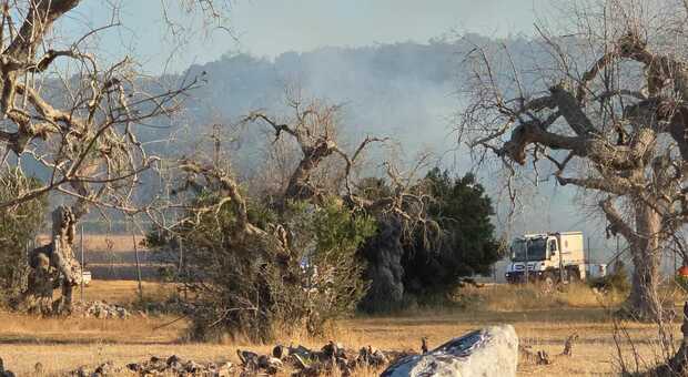Incendio a Salve, fiamme distruggono ettari di macchia: Canadair ed elicotteri in azione
