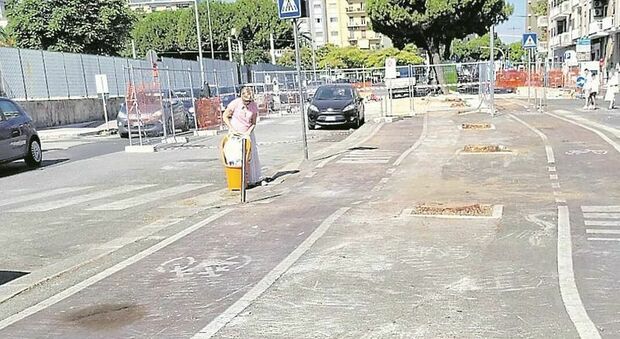 Bari, polemiche sul Brt: saranno 83 gli alberi abbattuti ma pronti 13mila nuovi innesti