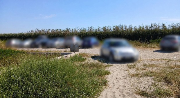 Auto parcheggiate sulle dune per arrivare prima al mare: nel Salento fioccano le multe Auto parcheggiate sulle dune per arrivare prima al mare: nel Salento fioccano le multe