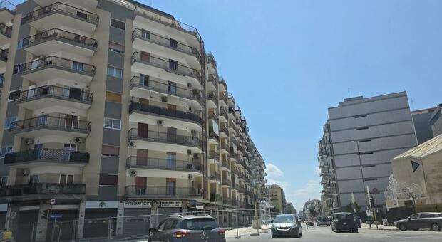 Brt, si allargano ancora i cantieri a Bari. Monta la protesta per gli alberi