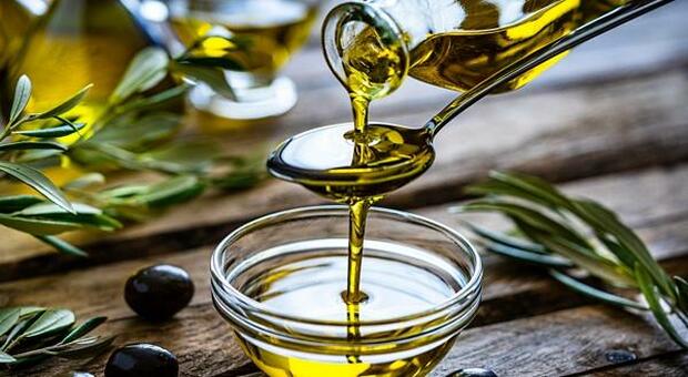 La tutela dell?olio italiano: le associazioni chiedono controlli e misure urgenti