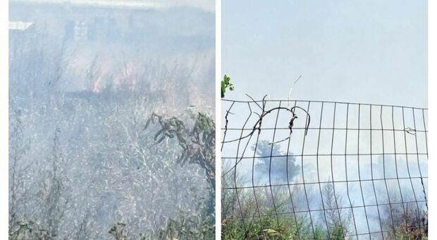 Afragola: rogo di sterpaglie in località Scafatella, vigili del fuoco in azione