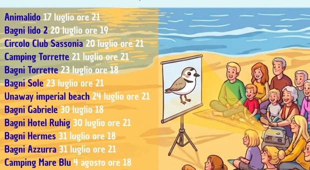 Fano, la tutela del Fratino va in spiaggia: al via gli incontri con turisti e residenti