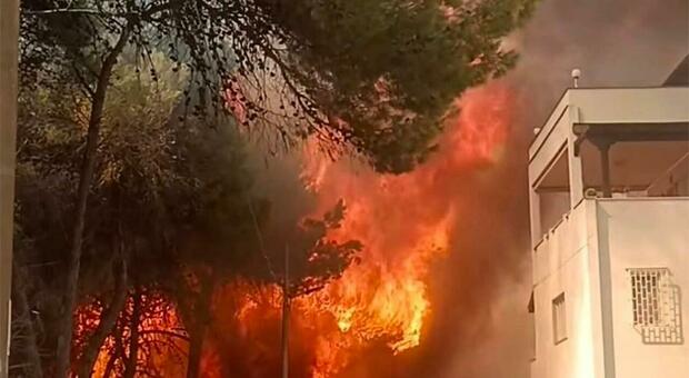 Incendi, Puglia sotto assedio. L'appello dei vigili del fuoco: «Servono prevenzione e mezzi»