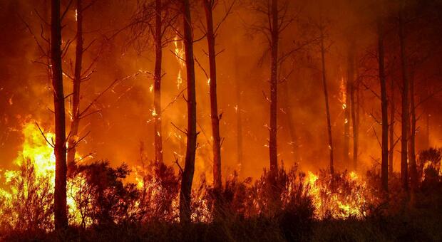 Pyrocumulonimbus Fire Clouds Make Wildfires Uncontrollable in Spain and France