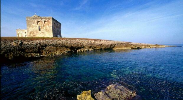 Mare caldo in Puglia: sbiancano i coralli a Torre Guaceto per il clima. Il monitoraggio