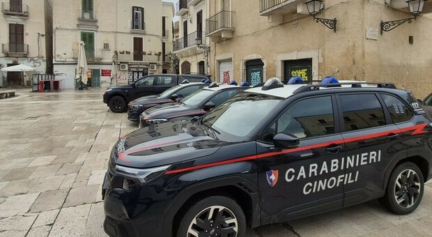Controlli a tappeto all'alba a Bari Vecchia: scatta l'operazione dei Carabinieri tra vicoli e piazze