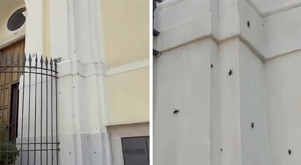 Cronaca Campania