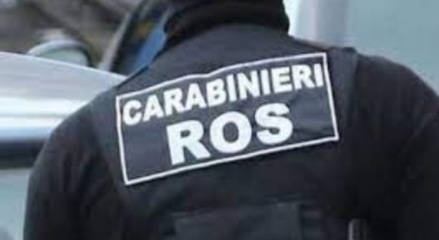 Cronaca Campania