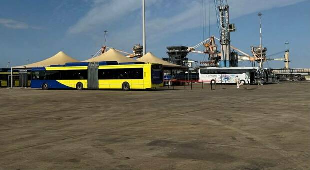 Bus acquistati dal Comune per lo Shuttle-aeroporto usati per i crocieristi: è scontro sui servizi nel porto e sui costi