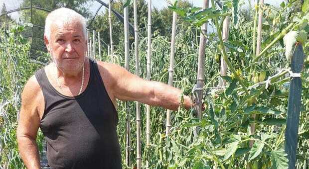 Orto raso al suolo dai vandali, oltre 200 piante tagliate. I proprietari: «Ora abbiamo paura per i nostri canarini»