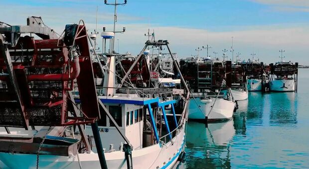 S’impenna il prezzo del gasolio: San Benedetto, a Ferragosto pesce a peso d’oro