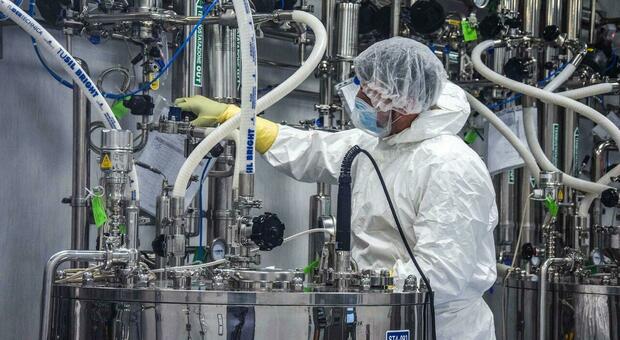  Logistica, sfida Mezzogiorno: «Un hub per la farmaceutica» 