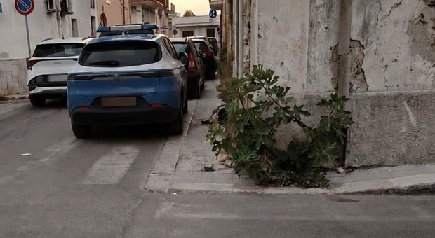 Il cane abbaia senza sosta, i vicini chiamano la Polizia: 57enne trovato morto in casa