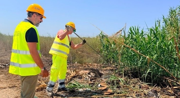 Consorzio, cambio di passo: puliti mille chilometri di canali. «Recuperiamo i ritardi»