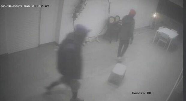 Torino, vede un ladro in casa con la telecamera da remoto e chiama i carabinieri: l'uomo arrestato dopo un inseguimento