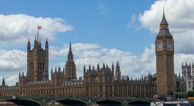 https://statics.cedscdn.it/photos/MED/2026/08/09/9699113_09124414_squirrel_photos_london_7370006.jpg