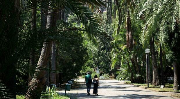  Napoli, dall?Orto a Capodimonte, ecco la mappa dei parchi: «Qui c?è un po? di fresco» 