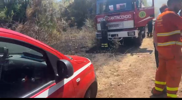 Incendio sul Gargano tra Peschici e Vieste: vegetazione in fiamme, due canadair in volo