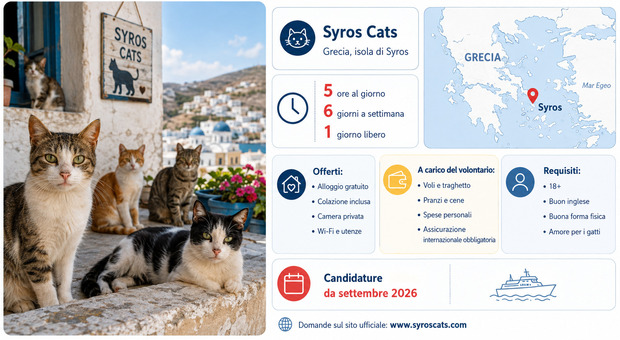 https://statics.cedscdn.it/photos/MED/2026/08/10/9700784_10183412_syros_gatti_.jpg