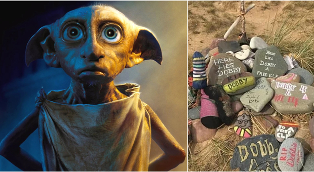 https://statics.cedscdn.it/photos/MED/2026/08/11/9702361_11125552_dobby.jpg